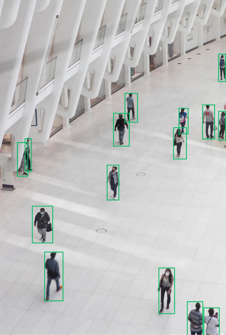 Imagem do projeto Palo Analyzer